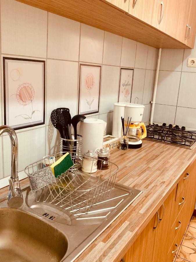 Ultracentral Apartment With All You Need: Wifi, Tv, Ac, Washer, Coffe 티미쇼아라 외부 사진