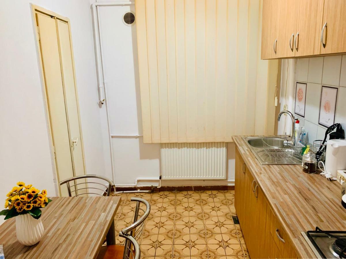 Ultracentral Apartment With All You Need: Wifi, Tv, Ac, Washer, Coffe 티미쇼아라 외부 사진