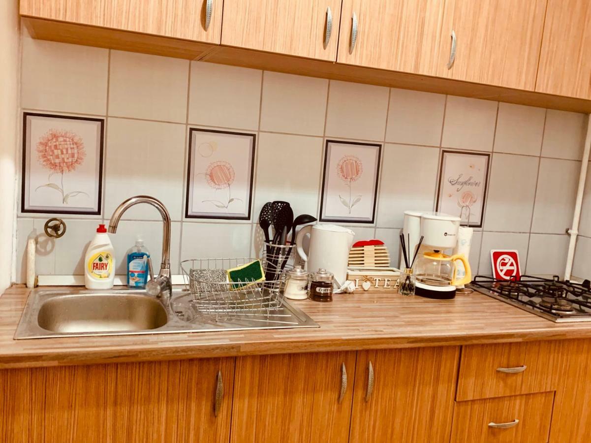 Ultracentral Apartment With All You Need: Wifi, Tv, Ac, Washer, Coffe 티미쇼아라 외부 사진