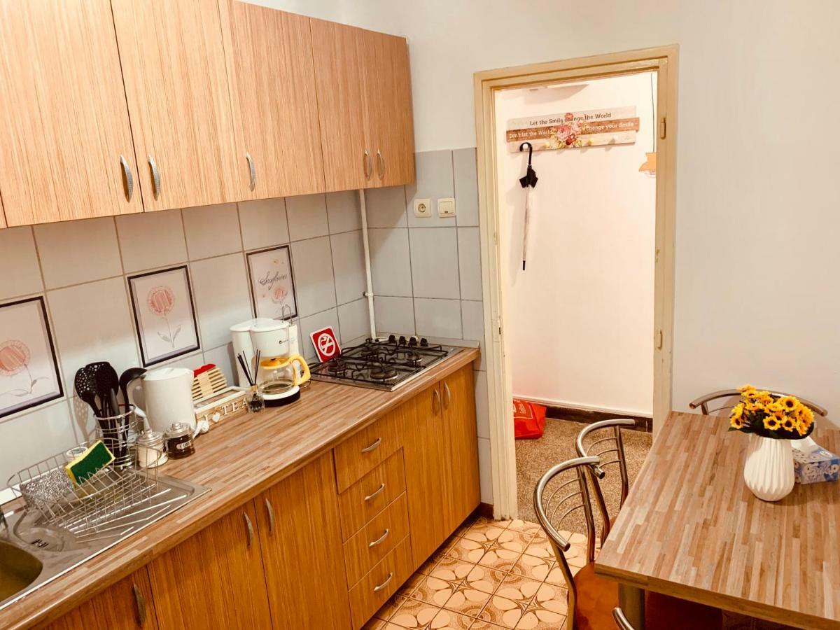 Ultracentral Apartment With All You Need: Wifi, Tv, Ac, Washer, Coffe 티미쇼아라 외부 사진